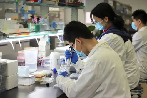 重慶醫(yī)藥健康雙軌并進(jìn) 218個藥品平均降價53%與三甲醫(yī)院擴(kuò)容至39家